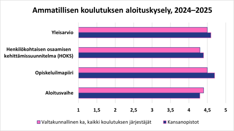 Kaavio Amis-kyselyn aloituskyselystä.