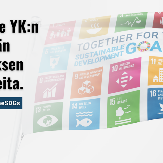 Kestävän kehityksen tavoitteiden lippu, SDG-liputuspäivä