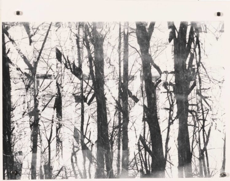 Antonin hopeagelatiinivedos.